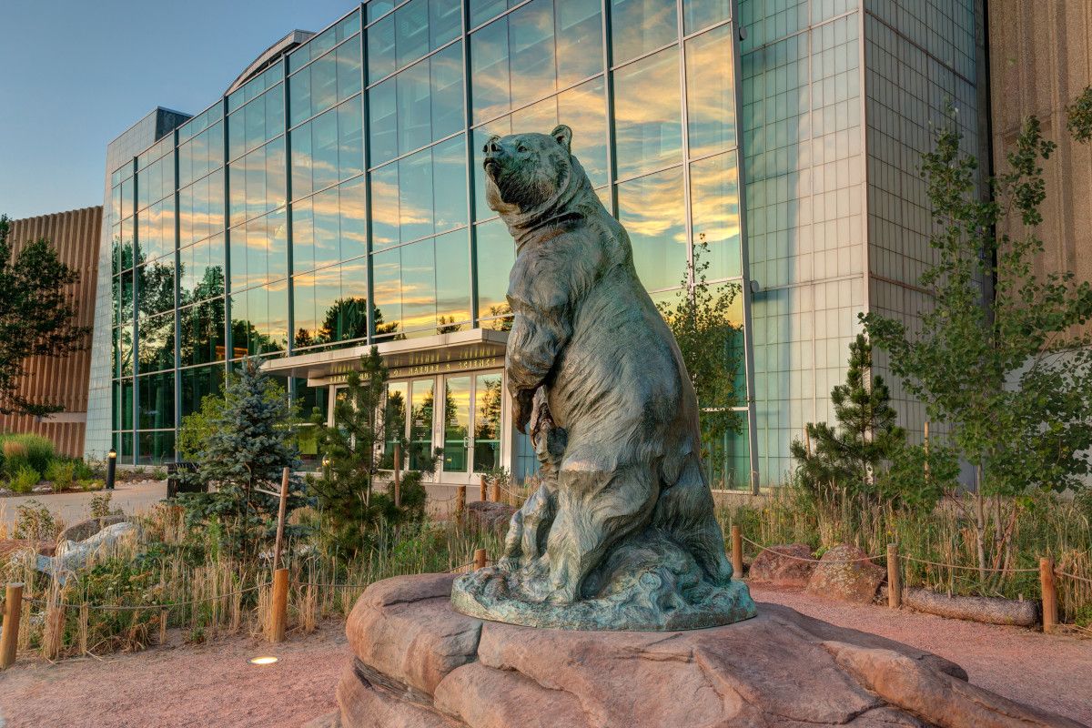 Grizzly's Last Stand at the Denver Museum of Nature and Science